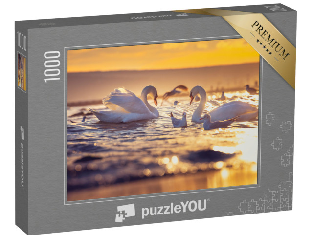 puzzle 1000 dílků „Bílé labutě a rackové při východu slunce“