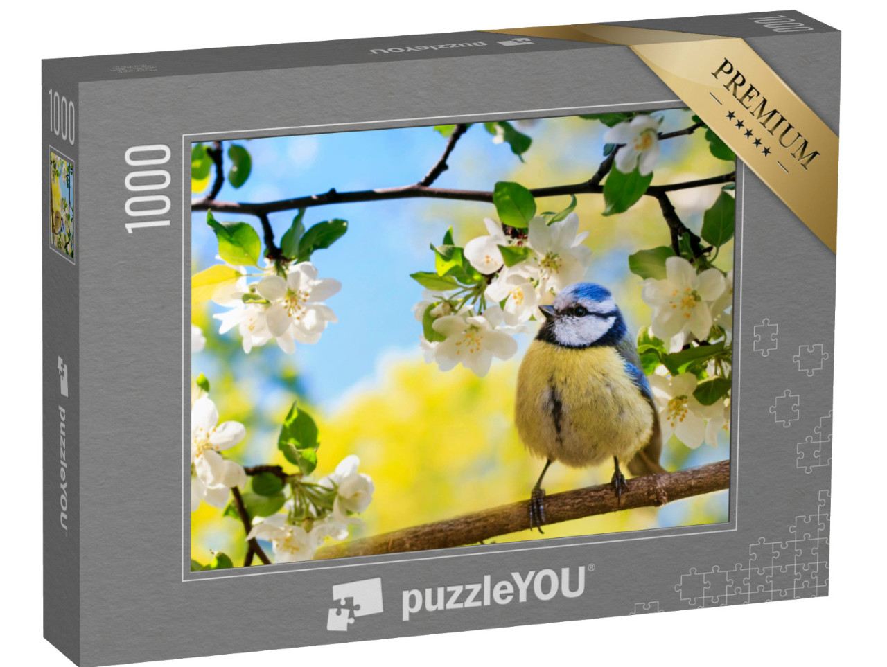 puzzle 1000 dílků „Sýkora modřinka na větvi jabloně“