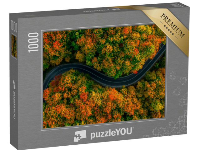 puzzle 1000 dílků „Pohled z ptačí perspektivy: klikatá cesta v hustém podzimním lese“