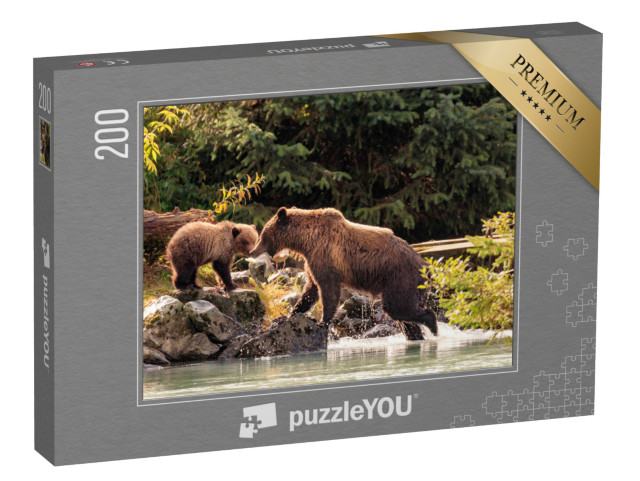 puzzle 200 dílků „Medvědí matka rybařící s mláďaty, Aljaška“