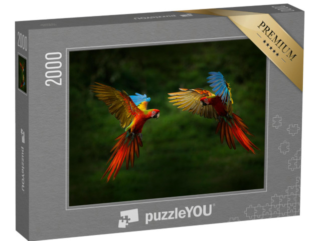 puzzle 2000 dílků „Papoušci v letu“
