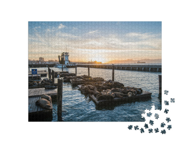 puzzle 1000 dílků „Lachtani u mola Pier 39, San Francisco, Kalifornie, USA“