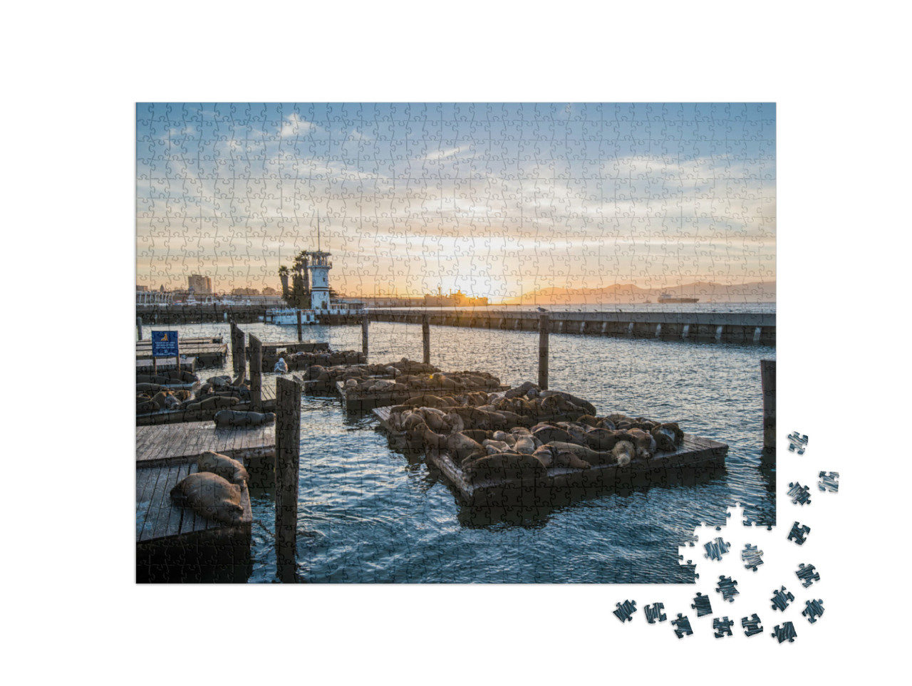 puzzle 1000 dílků „Lachtani u mola Pier 39, San Francisco, Kalifornie, USA“