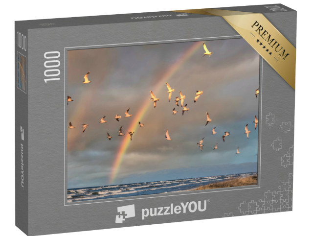 puzzle 1000 dílků „Hejno racků v letu pod duhou na Baltském moři“