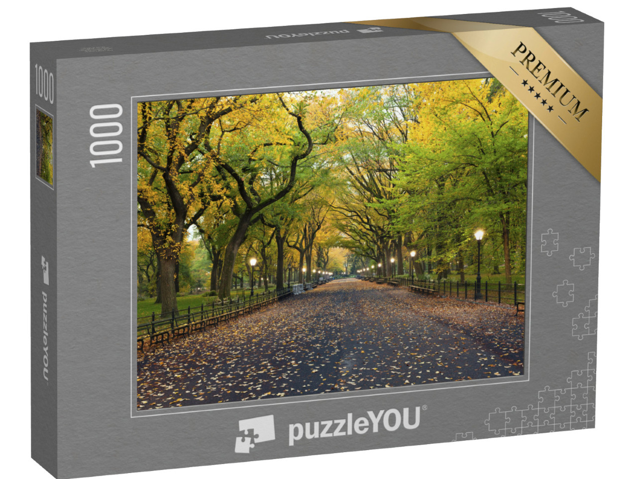 puzzle 1000 dílků „Obchodní centrum v Central Parku v New Yorku“