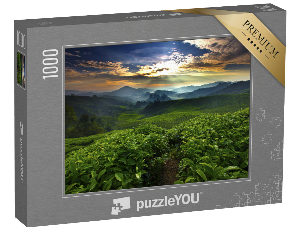 puzzle 1000 dílků „Slunce svítí nad čajovou zahradou“