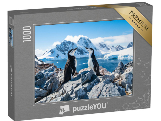 puzzle 1000 dílků „Tučňák kranasový, Antarktida, leden 2019“