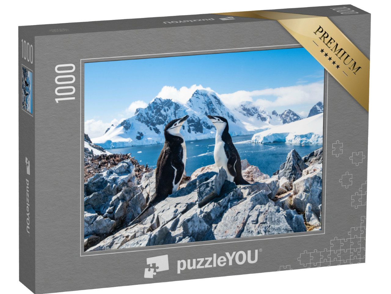 puzzle 1000 dílků „Tučňák kranasový, Antarktida, leden 2019“