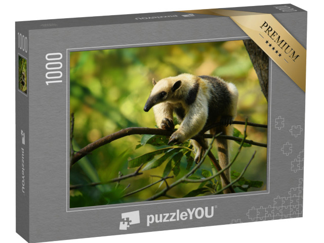 puzzle 1000 dílků „Tamandua severní, mravenečník z Mexika“