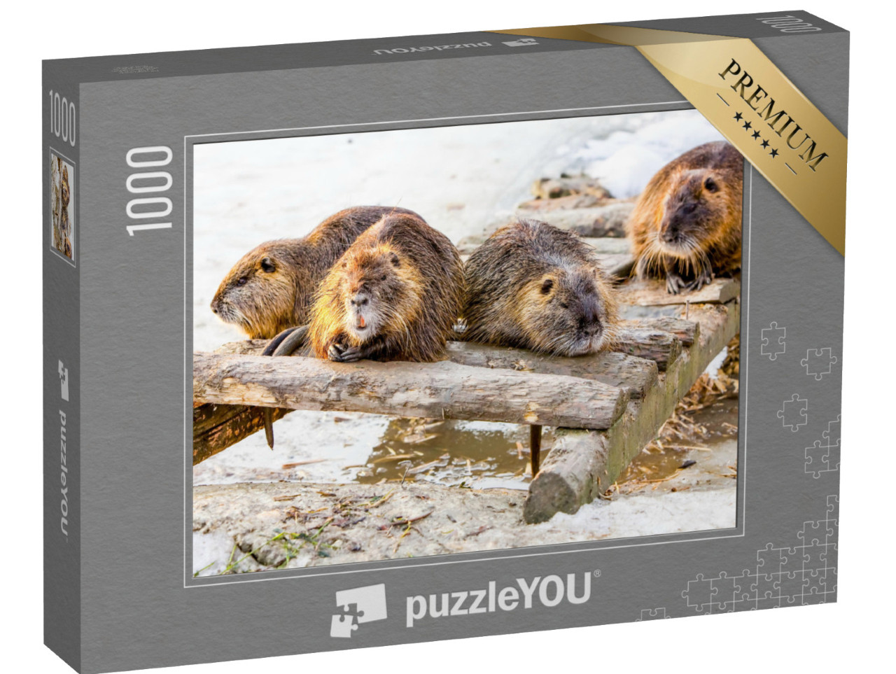 puzzle 1000 dílků „Bobří rodina si dává pauzu“