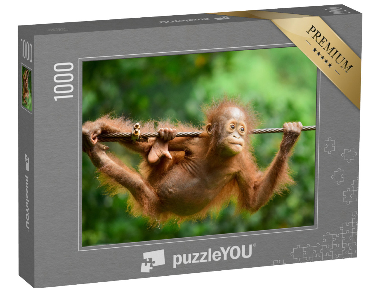 puzzle 1000 dílků „Orangutan kalimantský zblízka“