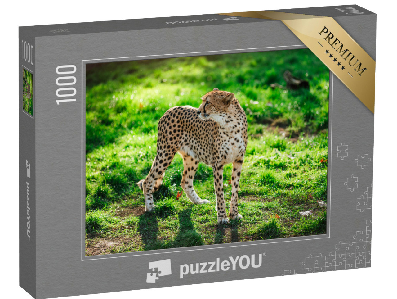 puzzle 1000 dílků „Gepard divoký na zelené trávě“
