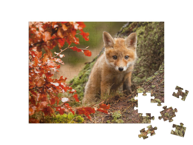 puzzle 100 dílků „Zvědavé liščí mládě“