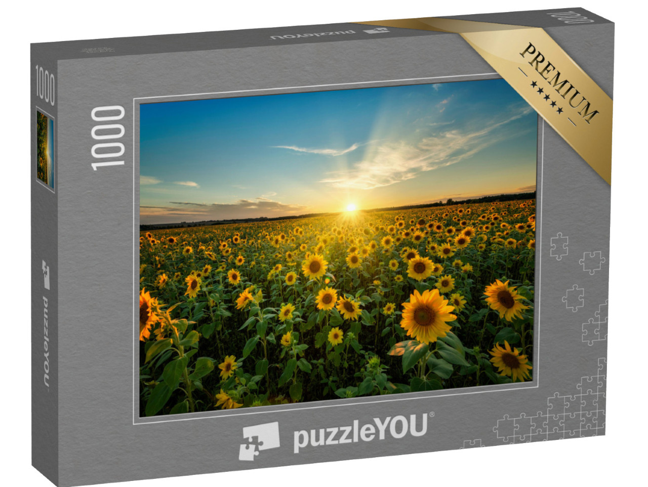 puzzle 1000 dílků „Krásný západ slunce nad slunečnicovým polem...“