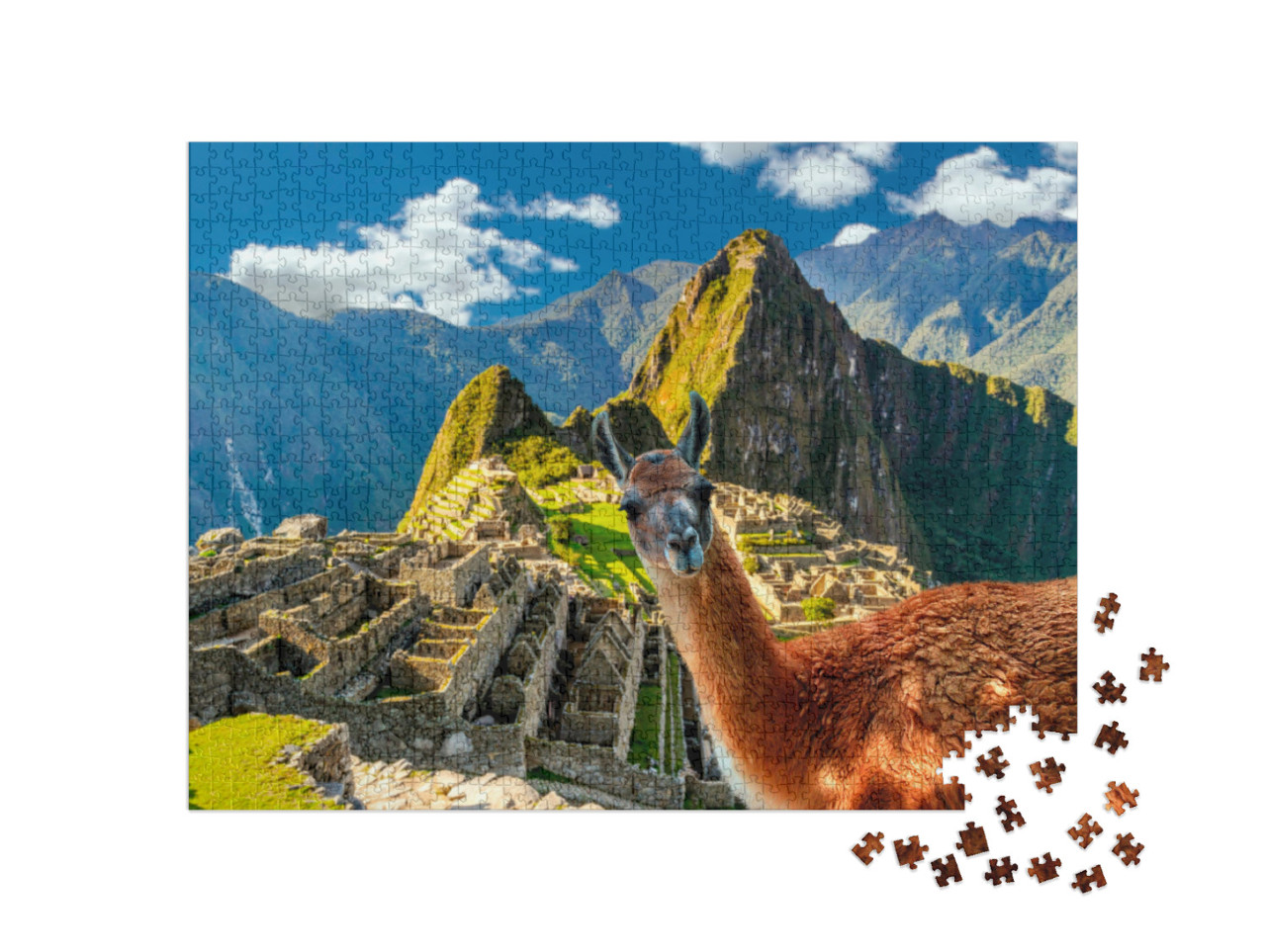 puzzle 1000 dílků „Lama stojící na vyhlídce Machu Picchu v Peru“