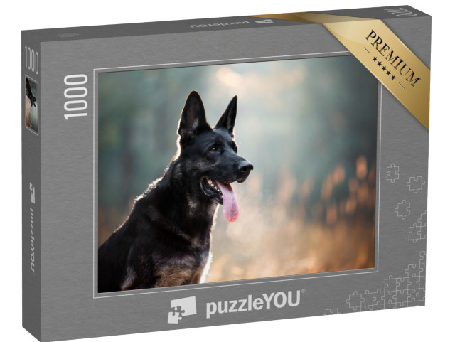 puzzle 1000 dílků „Detailní záběr černého ovčáckého psa“