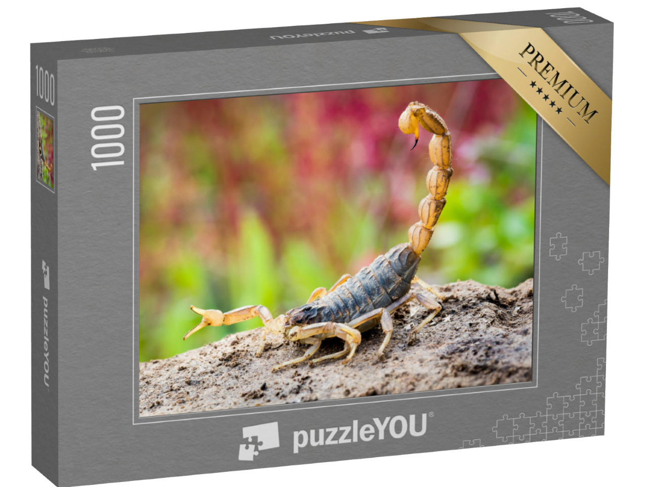 puzzle 1000 dílků „Štír v útočné pozici“