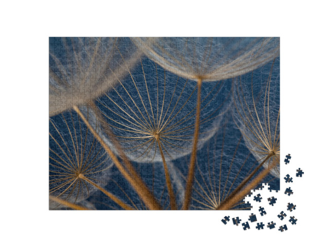 puzzle 1000 dílků „Makro snímek: Prvky pampelišky“