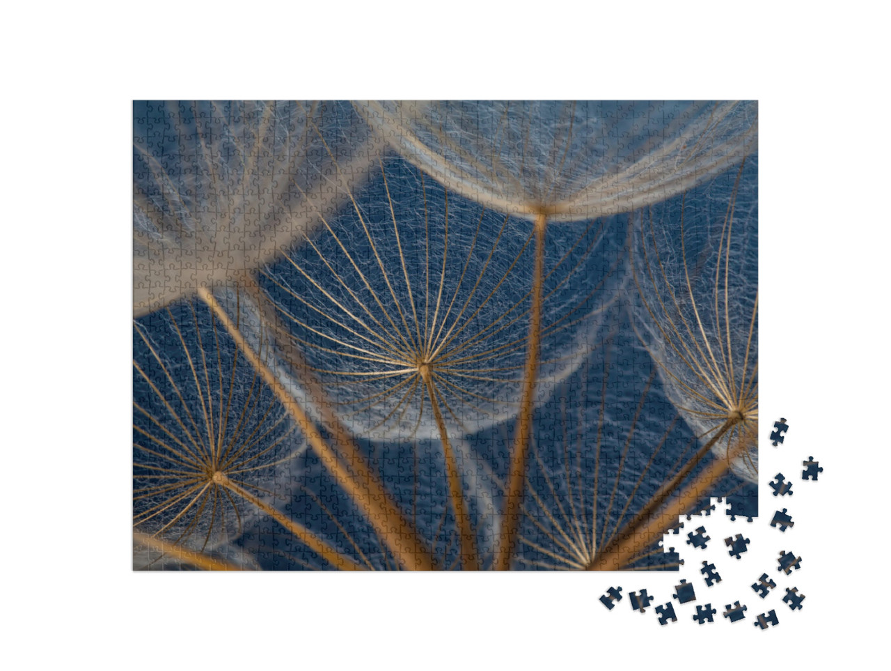 puzzle 1000 dílků „Makro snímek: Prvky pampelišky“