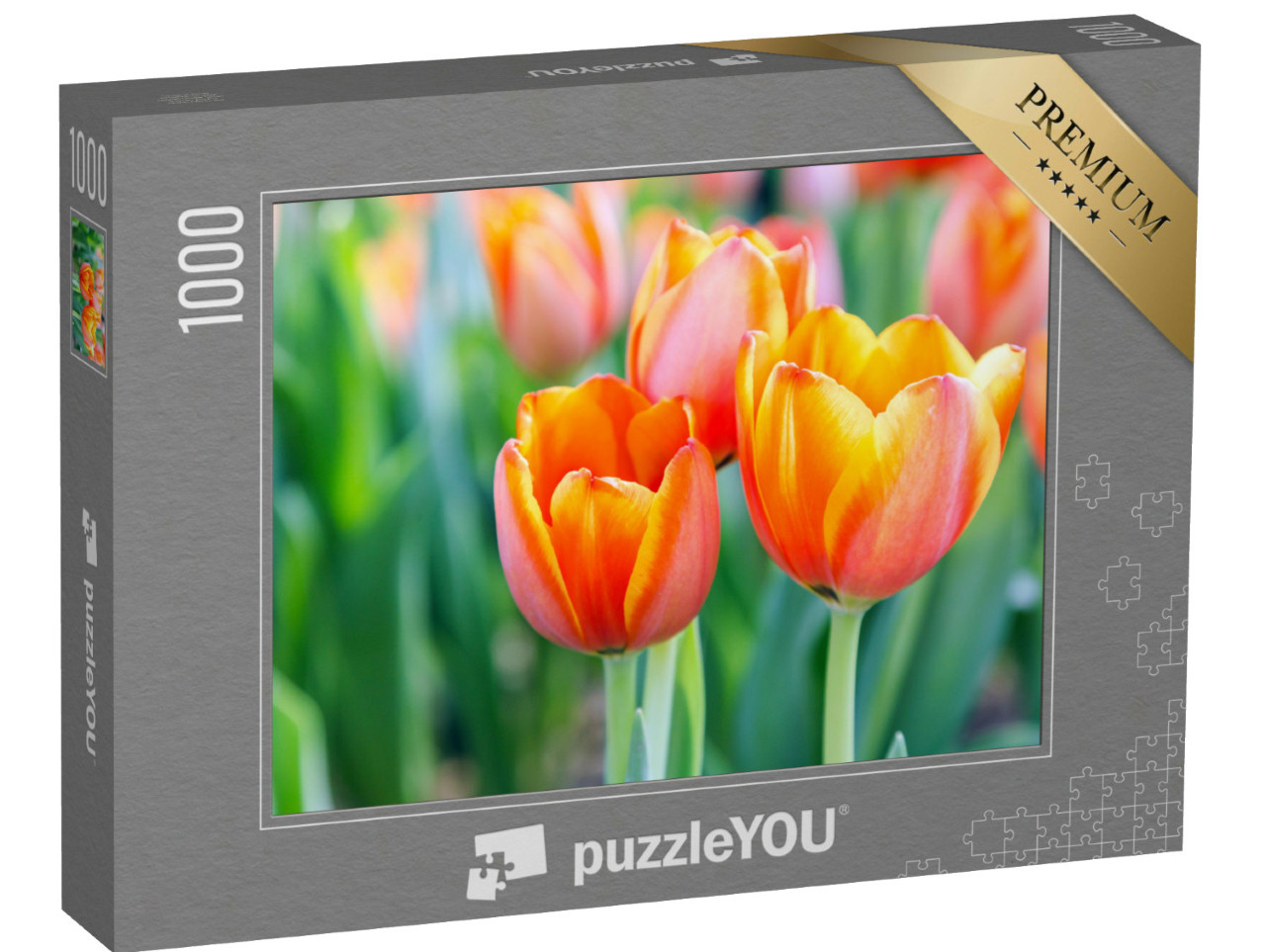 puzzle 1000 dílků „Světlé tulipány“