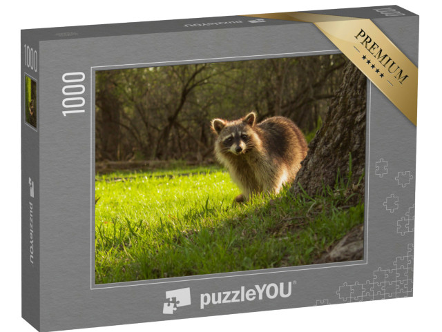 puzzle 1000 dílků „Malý mýval se zvědavě dívá zpoza stromu“