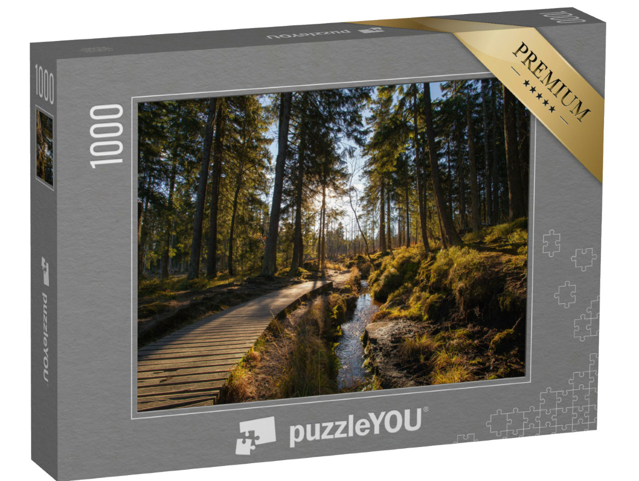 puzzle 1000 dílků „Podzimní les na Brocken v pohoří Harz“