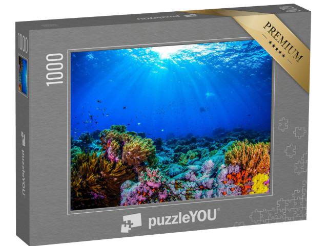 puzzle 1000 dílků „Krásný korálový útes“