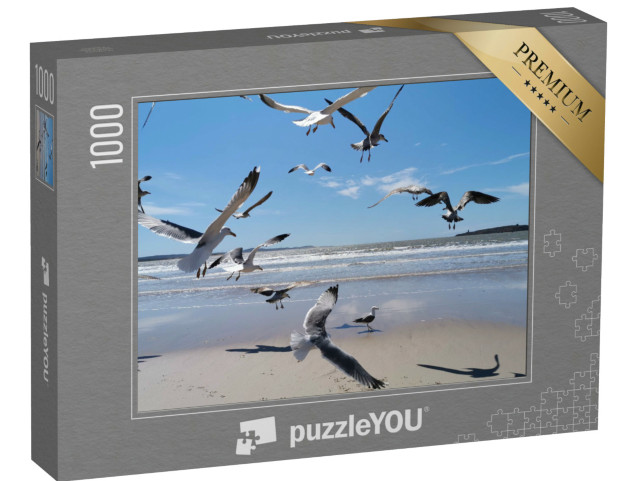 puzzle 1000 dílků „Racci u marockého moře“