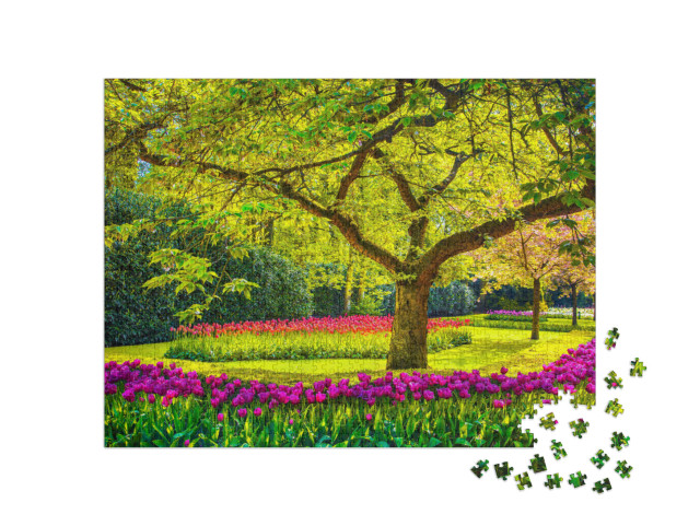 puzzle 1000 dílků „Tulipány, Keukenhof, Nizozemsko“