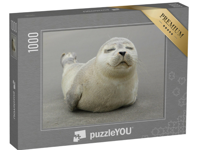 puzzle 1000 dílků „Roztomilé mládě tuleně šedého“