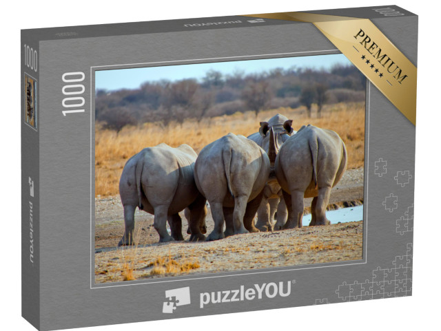 puzzle 1000 dílků „Tři bílí nosorožci, Botswana Afrika“