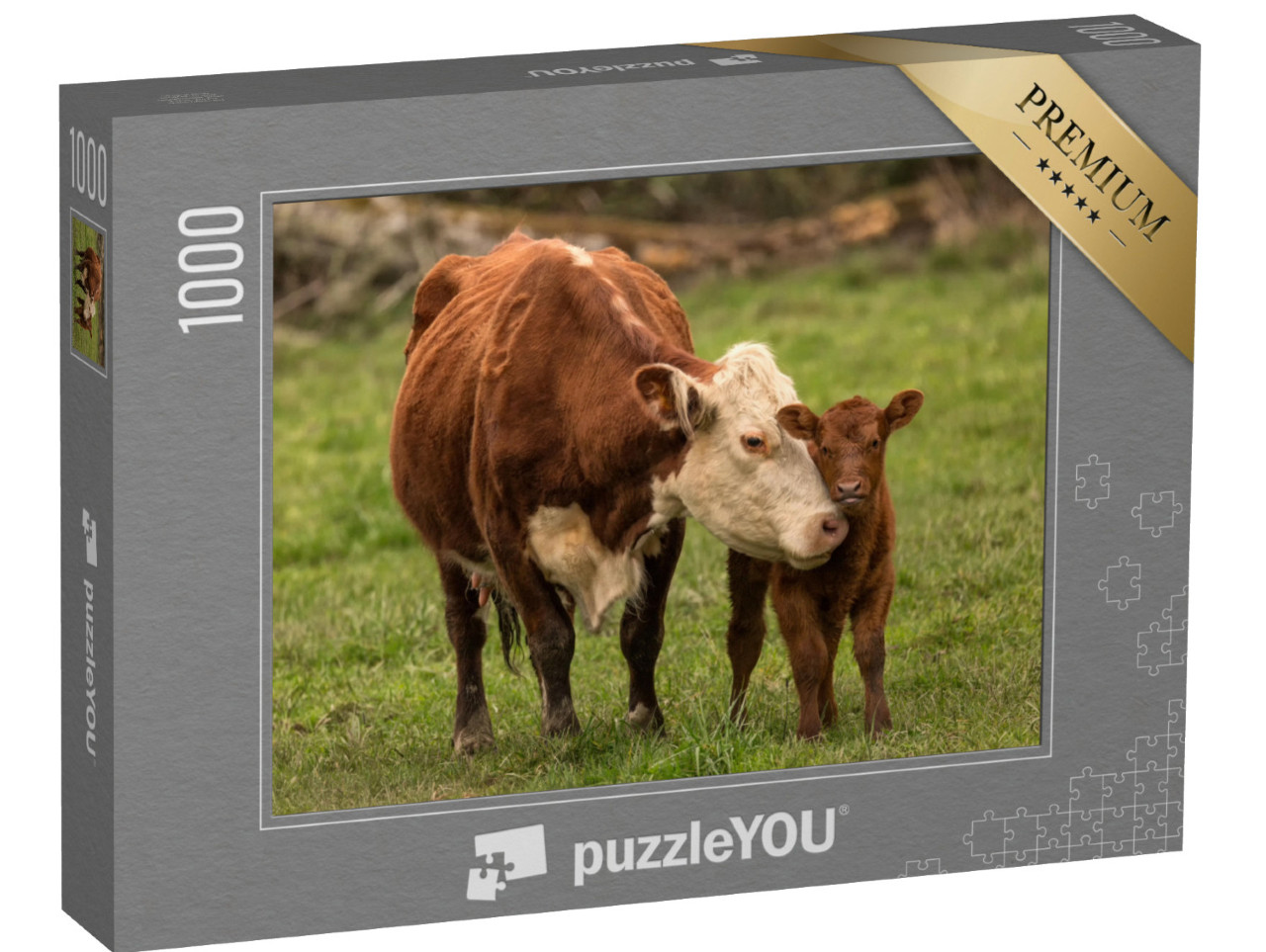 puzzle 1000 dílků „Kráva bez tržní produkce mléka a tele“