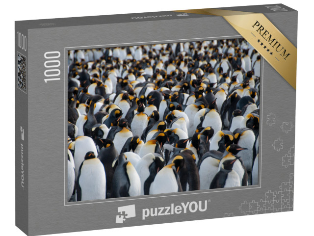 puzzle 1000 dílků „Tučňáci královští v pobřežní oblasti Gold Harbour na ostrově Jižní Georgie“