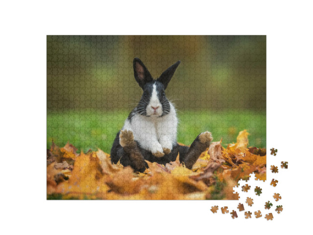 puzzle 1000 dílků „Malý legrační králíček sedí v podzimním listí“