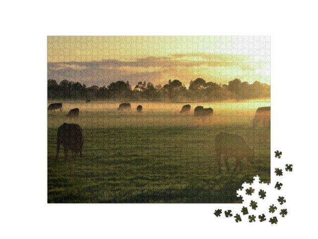 puzzle 1000 dílků „Na venkově: stádo krav v ranní mlze“