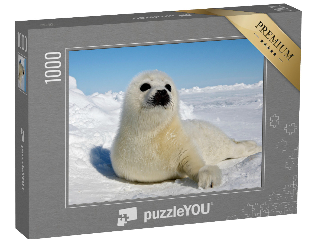 puzzle 1000 dílků „Mládě tuleně obecného, Magdalenské ostrovy“