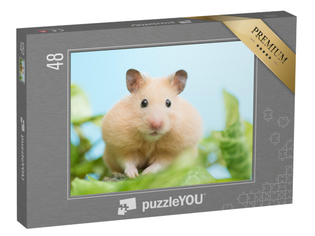 puzzle 48 dílků „Zlatý křeček obklopený zelenými listy“