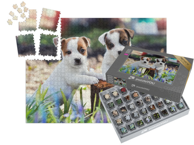 SMART SORTED® | Puzzle 1000 dílků „Dvě roztomilá štěňata Jack Russell“