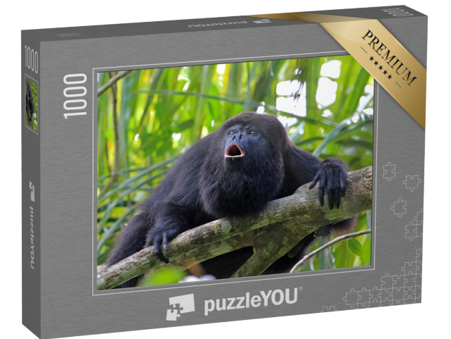 puzzle 1000 dílků „Černá nebo guatemalská opice howler na stromě“