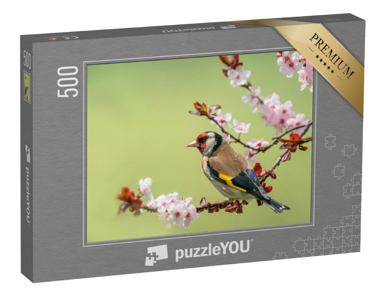 puzzle 500 dílků „Barevný zlatohlávek na kvetoucí větvi“