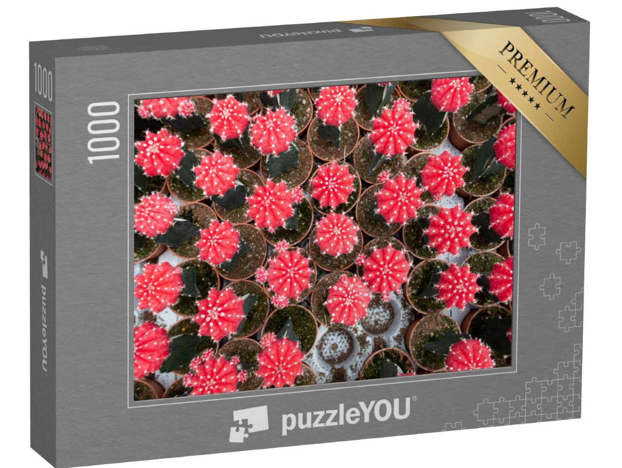 puzzle 1000 dílků „Spousta malých květináčů s měsíčními kaktusy z okouzlující ptačí perspektivy“