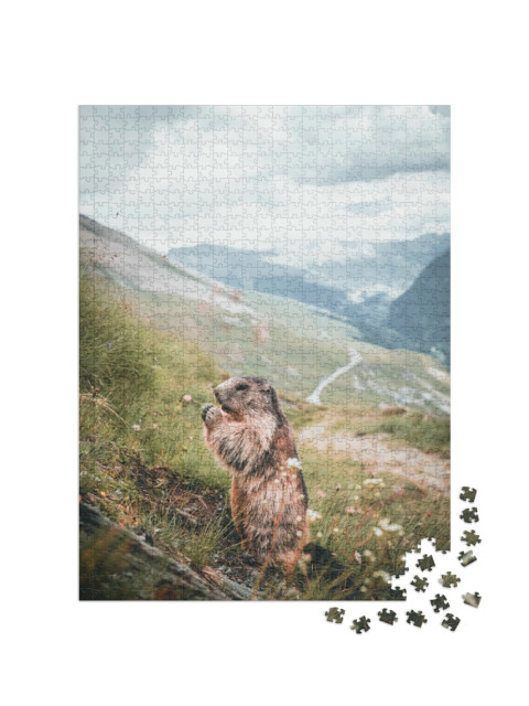 puzzle 1000 dílků „Svišť alpský na horském svahu v Rakousku“