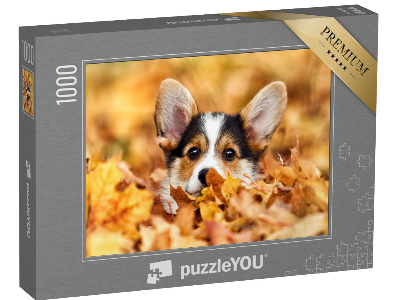 puzzle 1000 dílků „Velšský corgi v podzimním listí“