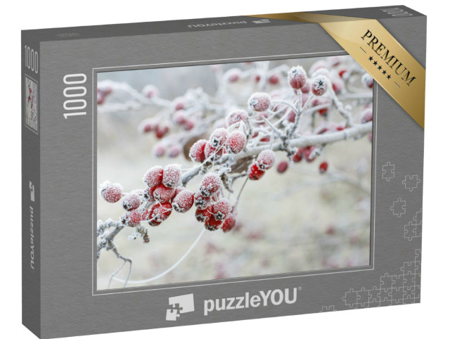 puzzle 1000 dílků „Zmrzlé plody hlohu na zahradě“