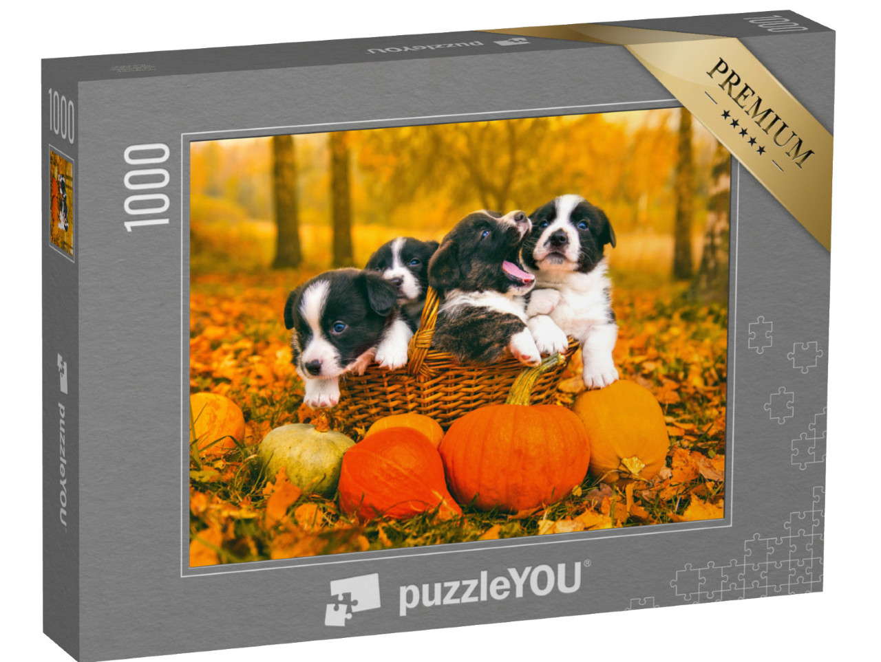 puzzle 1000 dílků „Štěňata velšského corgiho Pembroke na podzim“