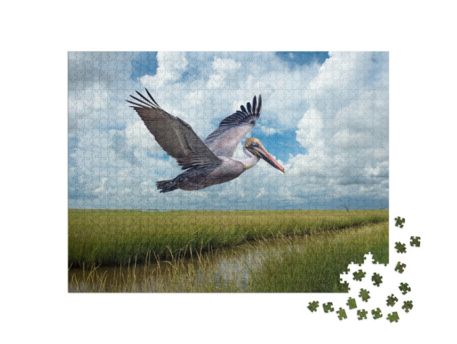 puzzle 1000 dílků „Pelikán hnědý v letu nad bažinami u Grand Isle Louisiana“