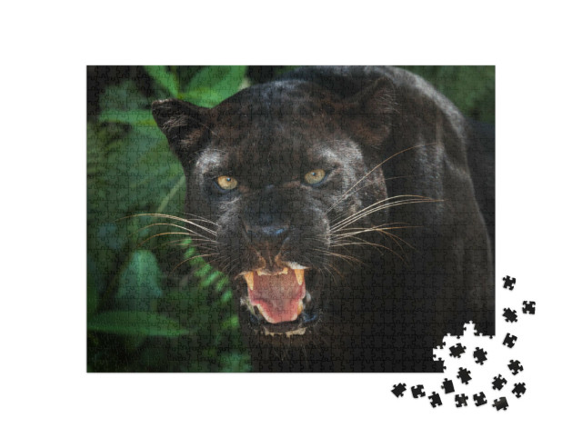 puzzle 1000 dílků „Black Panther“