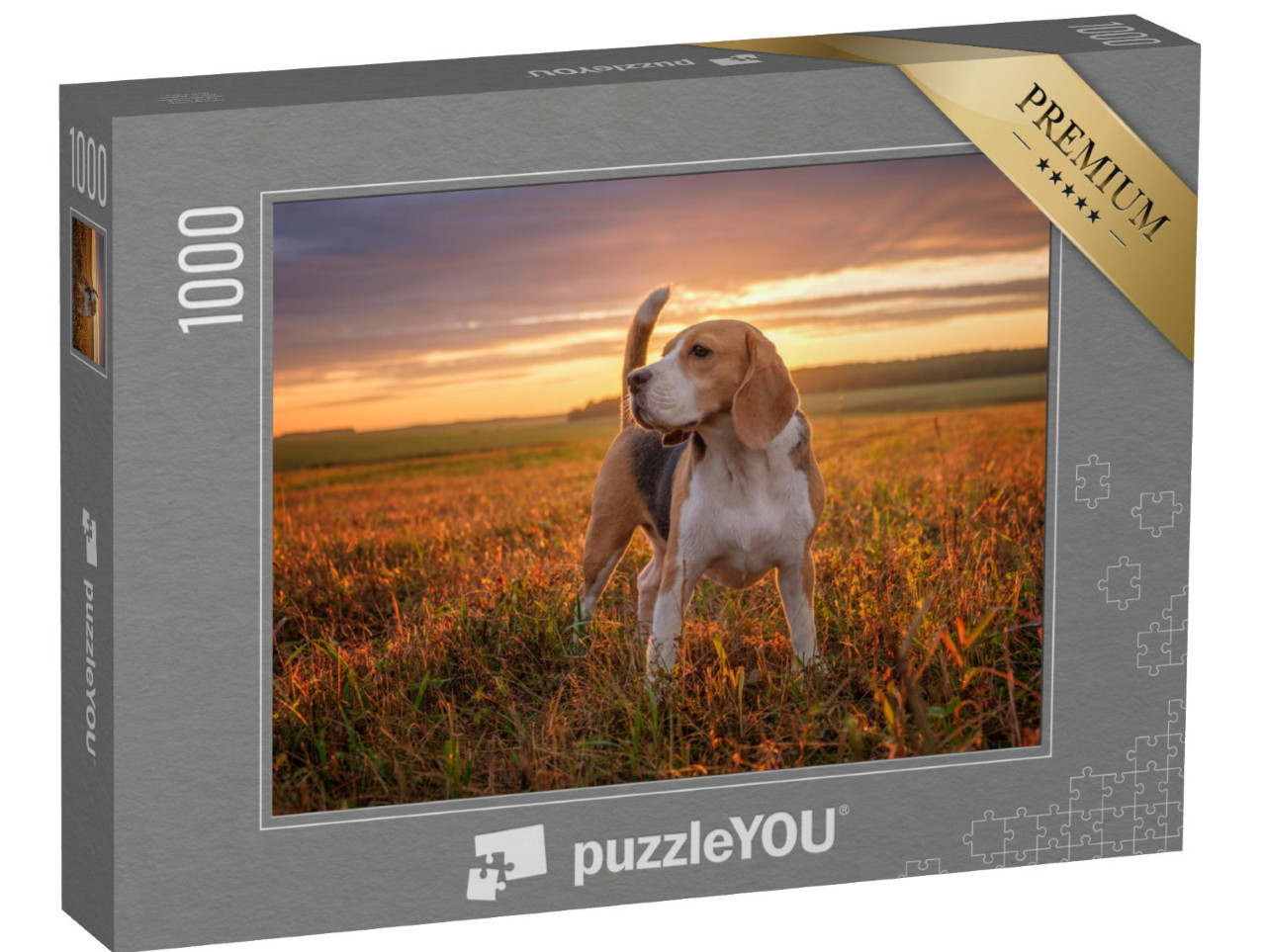 puzzle 1000 dílků „Bígl jde v létě po dešti na procházku“