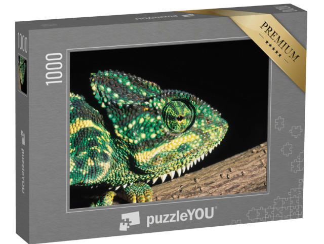 puzzle 1000 dílků „chameleon indický, Indie“