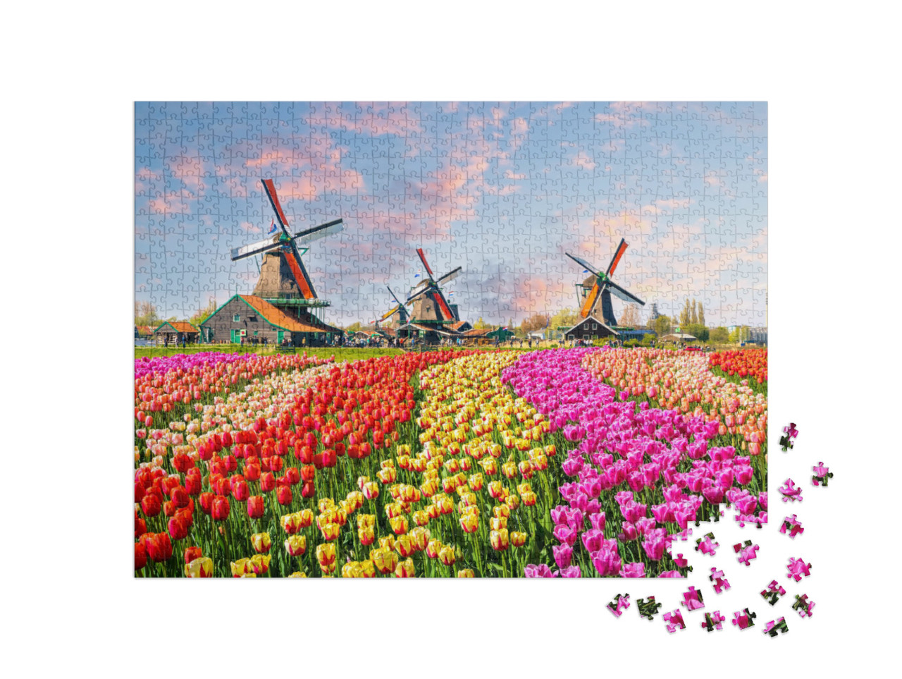 puzzle 1000 dílků „Idylické větrné mlýny a tulipány, Nizozemsko“